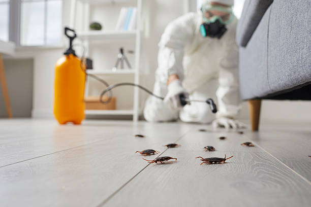 Commercial Kitchen Cockroach Control in Gambrills